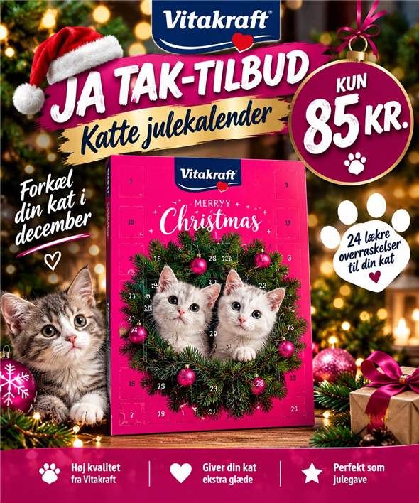 Julekalender til kat